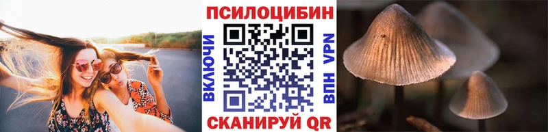 Псилоцибиновые грибы MAGIC MUSHROOMS hydra tor Таштагол